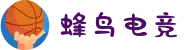 蜂鸟电竞 – 赛事直播、数据与分析一站式平台